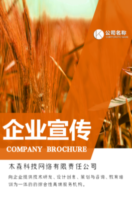 木森網(wǎng)絡(luò) 以城市智慧基因，驅(qū)動(dòng)數(shù)字創(chuàng)新未來(lái)